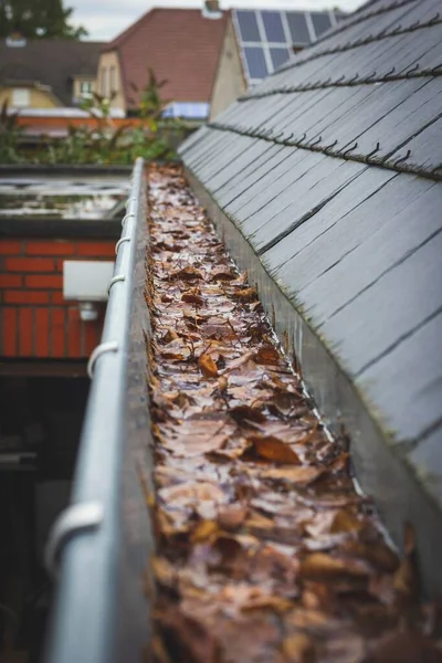A portrait of a clogged gutter full of autumn leaves and water which cannot get away hanging next to a slate roof. A typical chore after autumn is to clean the roof gutter.