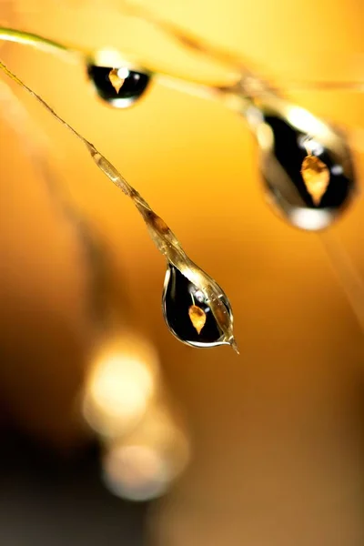 Ett Makroporträtt Vattendroppar Hängande Från Ett Grässtrå Med Dropparna Brytningen — Stockfoto