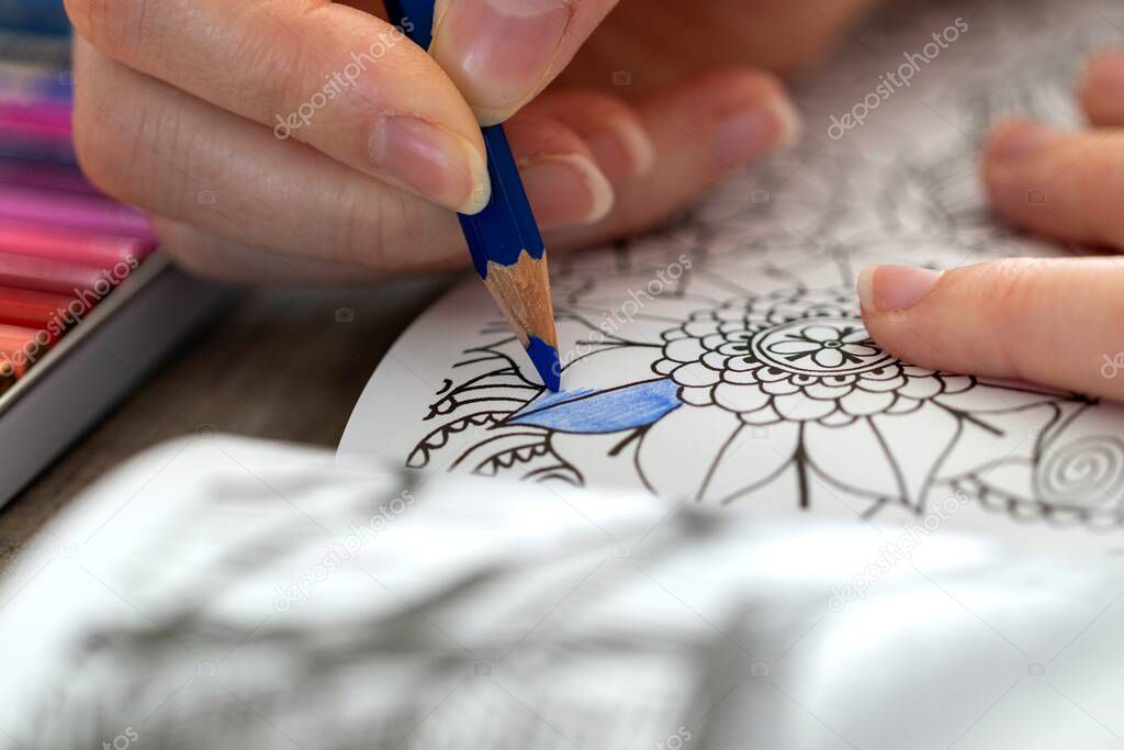 A portrait of a hand of a person holding a blue colored pencil, coloring in a coloring book for adults with flower image to color with their own imagination.