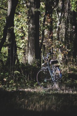 Ormanın güneşli bir yerine park etmiş bir bisikletin portresi. Bisiklet bu ormanın ortasında bir yerde..