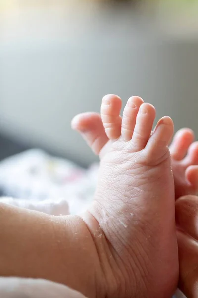 Ein Nahaufnahme Porträt Einiger Babyfüße Das Neugeborene Kind Streckt Seine — Stockfoto