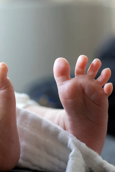 A close up portrait of the bottom of a baby foot. The newborn child is stretiching and opening its tiny cute toes revealing its small footprint to the world.