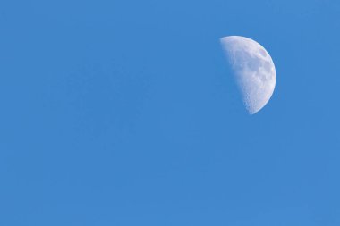 Mavi gökyüzünde gündüz vakti yarım ayın portresi. Uydu gezegeninin görünen kraterleri oldukça iyi görülebiliyor..