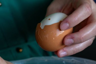 Yarım soyulmuş haşlanmış yumurtayı tutan ve kahvaltıya, öğle yemeğine ya da soğuk bir tabakta akşam yemeğine hazır hale getirmek için soyan birinin portresi..