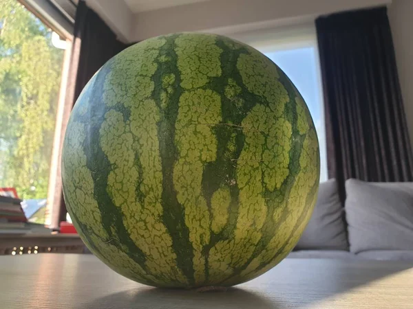 Portrait Green Big Watermelon Lying Living Room Table Fruit Still — Stock Photo, Image