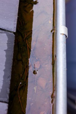 Yağmurlu ve bulutlu bir günde yağmur suyu dolu tıkanmış bir çatı oluğunun yakın plan portresi. Kanalizasyonun dibi yapraklar ve diğer doğal atıklarla dolu ve tahta bir çatının yanında asılı..