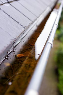 Yağmurlu ve bulutlu bir günde yağmur suyu dolu tıkanmış bir çatı oluğunun portresi. Kanalizasyonun dibi yapraklar ve diğer doğal atıklarla dolu ve tahta bir çatının yanında asılı..