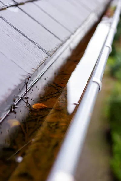 Portrait Clogged Roof Gutter Full Rain Water Rainy Cloudy Day — Stock Photo, Image