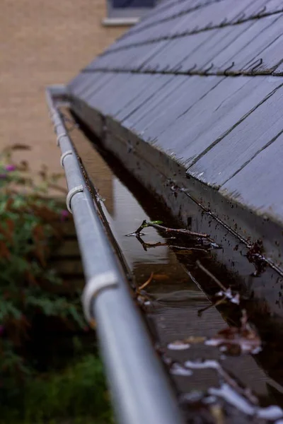 A portrait of a clogged roof gutter full of rain water during a rainy and cloudy day. The bottom of the drain is full of leaves and other natural waste and is hanging next to a slate roof.