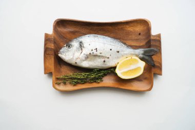 Taze balık dorado. Dorado ve yemek malzemeleri. Fotokopi alanı olan üst görünüm..