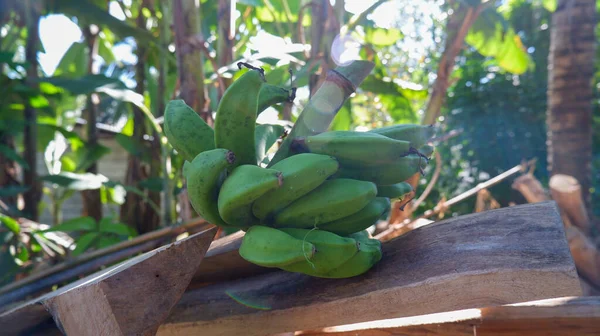 Egy Rakás Zöld Banán — Stock Fotó
