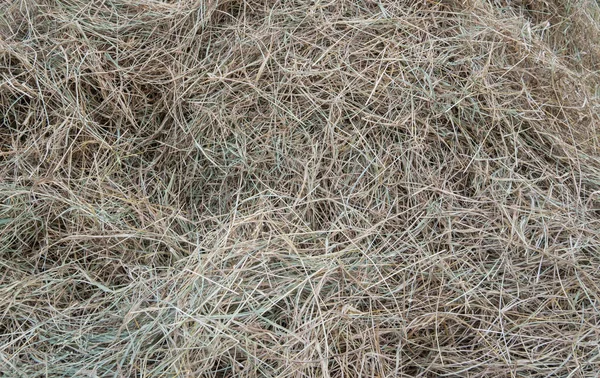 Pirinç pipetleri bitkinin kurumuş ve genellikle hayvan yemi olarak depolanmış kısımlarıdır.