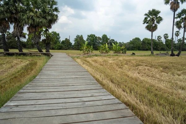 Ahşap köprü tarlanın ortasında ileri geri kavis yaptı.
