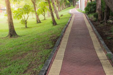 Parkta yürüyüş. Onun için erken sabah sırasında genel parkta