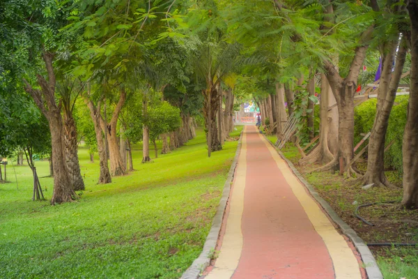 El paseo por el parque. en el parque público durante la mañana temprano para él — Foto de Stock