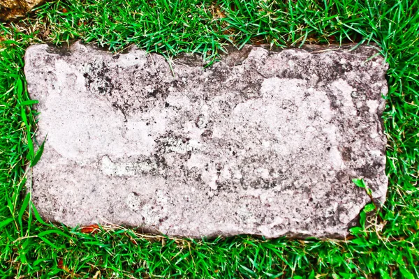 Камені в траві — стокове фото