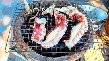 kömür sobası taze kalamar Barbekü Izgara