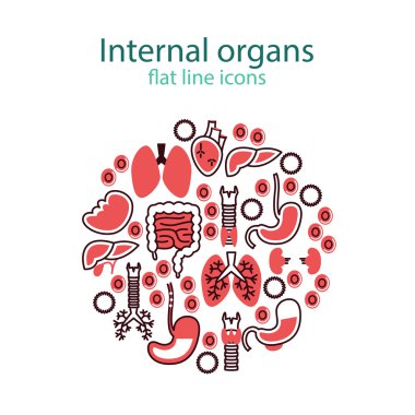 İnsan anatomisi simgeler. Vektör iç organları piktogram set. 