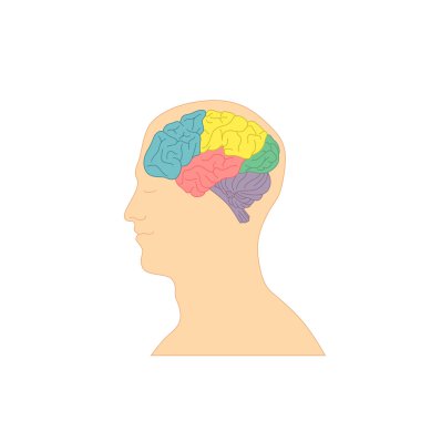 Renkli akıllı bir insan kafası profili.