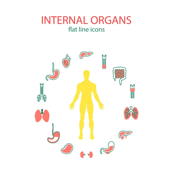 Düz çizgi Icons set iç organlar. Tıbbi insan organlarını simgesi ile vücut ortasında seti.