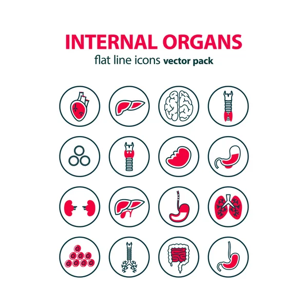 Set di icone per organi umani medici . — Vettoriale Stock