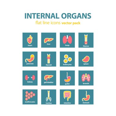 İnsan anatomisi simgeler. Vektör iç organları piktogram set.