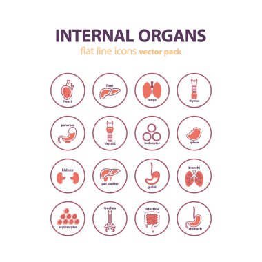 İnsan anatomisi simgeler. Vektör iç organları piktogram set.