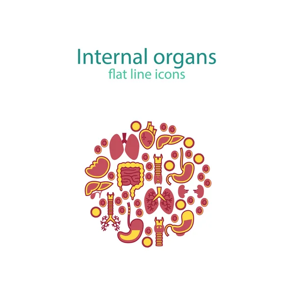 Ícones de anatomia humana. Conjunto de pictogramas de órgãos internos vetoriais . —  Vetores de Stock