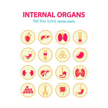 İnsan anatomisi simgeler. Vektör iç organları piktogram set.