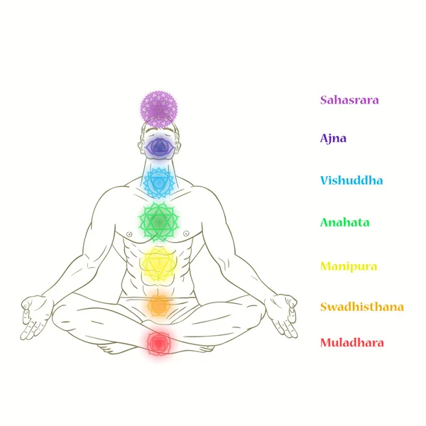 Strong man in lotus pose with chakras. — Stock Vector