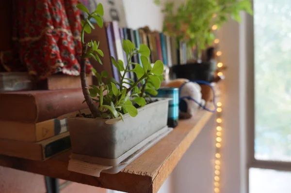 Perspective Some Books One Evening Living Room — Stock Photo, Image