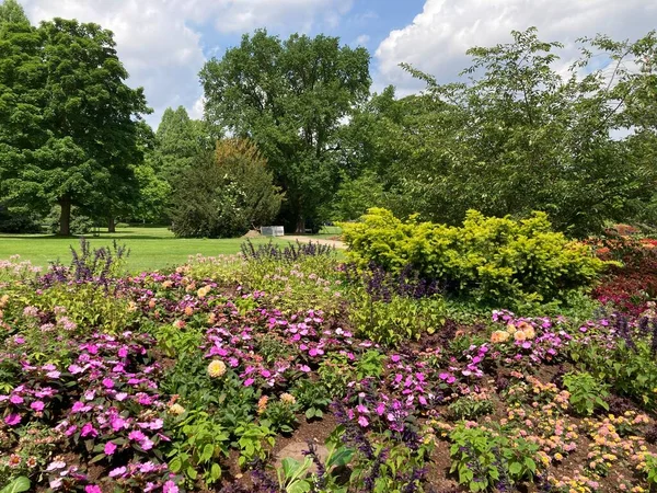 Mannheim Daki Alman Luisen Park Inda Renkli Çiçekler — Stok fotoğraf