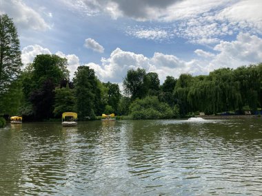Mannheim 'daki Alman parkında yaşlı ağaçlarla dolu güzel bir göl..