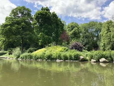 Mannheim 'daki Alman parkında yaşlı ağaçlarla dolu güzel bir göl..
