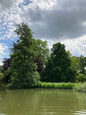 Mannheim 'daki Alman parkında yaşlı ağaçlarla dolu güzel bir göl..