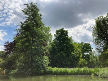 Mannheim 'daki Alman parkında yaşlı ağaçlarla dolu güzel bir göl..