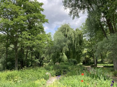 Yazın Alman ormanlarında çekilmiş doğal ormanlar..