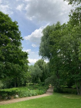 Yazın Alman ormanlarında çekilmiş doğal ormanlar..