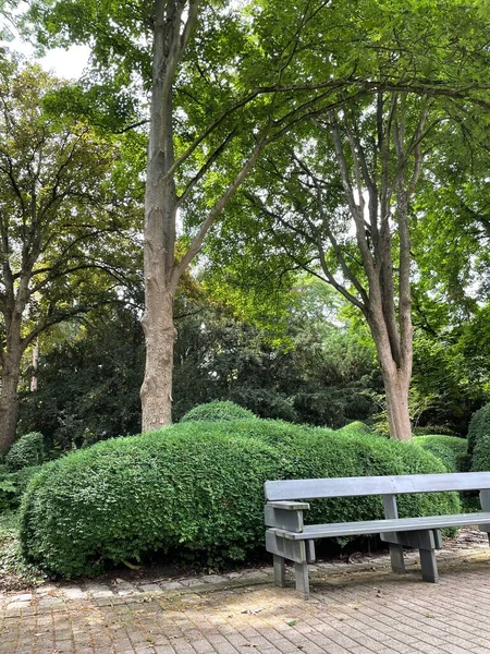 Yaz mevsiminde güzel ağaçlar, göl ve bitkilerle Alman park manzarası.
