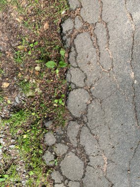 Duvar kağıdı kullanımı için doğal, organik arkaplan resmi.