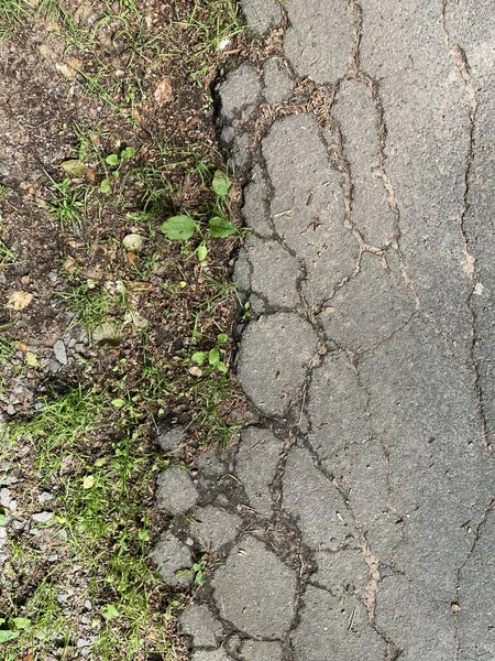 Duvar kağıdı kullanımı için doğal, organik arkaplan resmi.