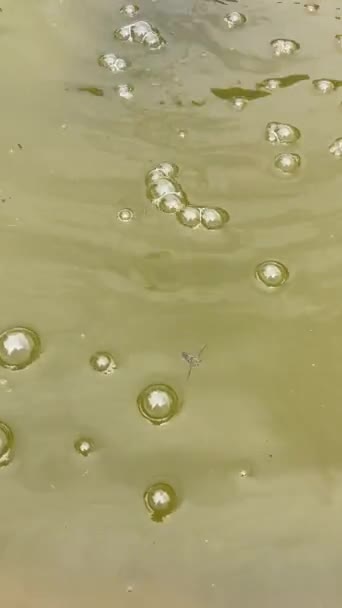 水面上美丽的起泡舞 — 图库视频影像