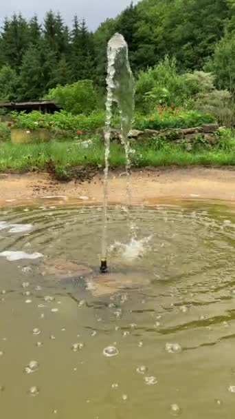 Vattenfontän Tysk Trädgård Sommaren — Stockvideo