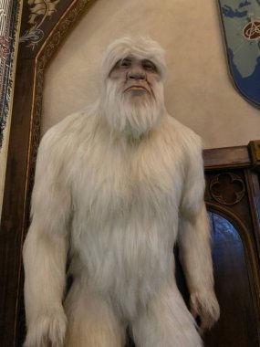 Yeti, Europapark Pas 'ta çekilmiş..