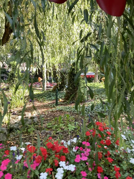 Lustige Bunte Pilze Europapark Rust — Stockfoto