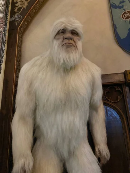 Yeti, Europapark Pas 'ta çekilmiş..