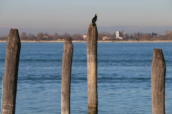 Scorcio della laguna di Venezia Image En Vente