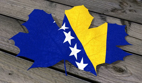 葉色の旗ボスニア ・ ヘルツェゴビナ — ストック写真