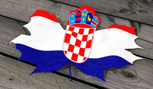 Bandera de color de hoja Croacia — Foto de Stock