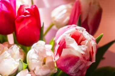 Pembe lalelerden oluşan taze bir buket. Bahar teması, seçici odaklanma. Çiçek arka planı.